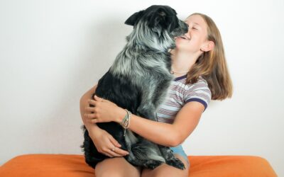 3 Tips to Housetrain Your Dog