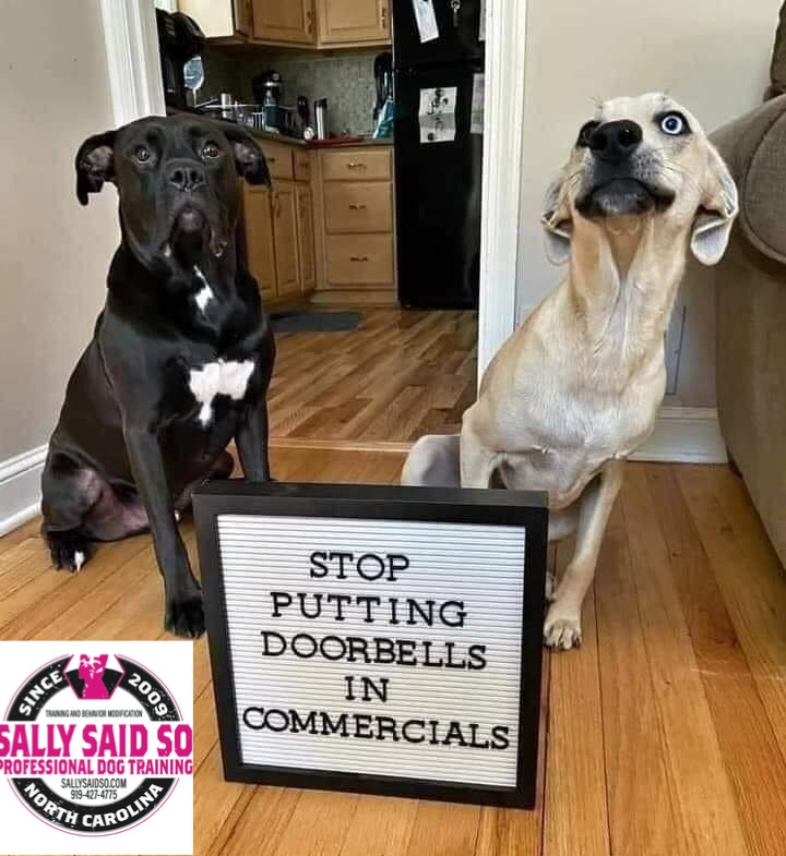 Doorbell dogs