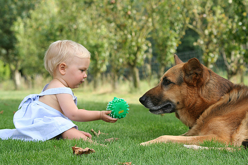 EXPECTING MOTHERS K9 PREPARATION