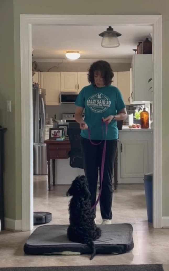 a North Carolina dog trainer teaches a puppy to stay on their place