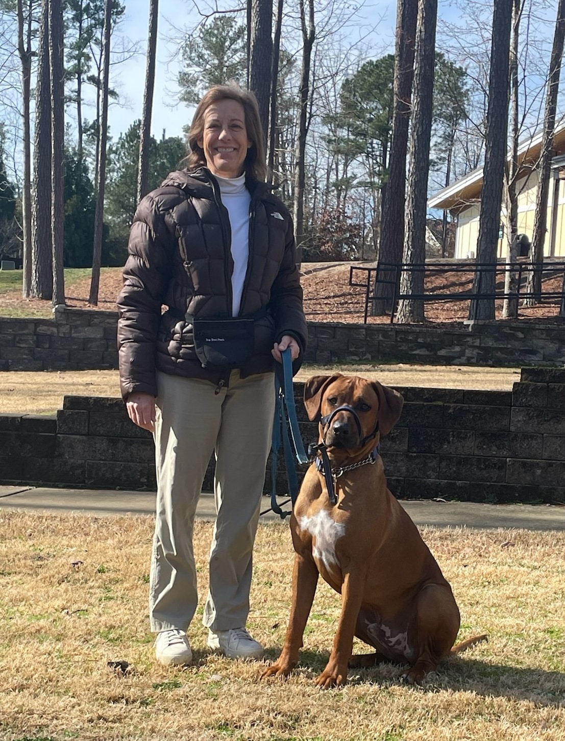 Sally Said So Professional Dog Training Training Tool Selection the halti head collar on a large breed dog for control