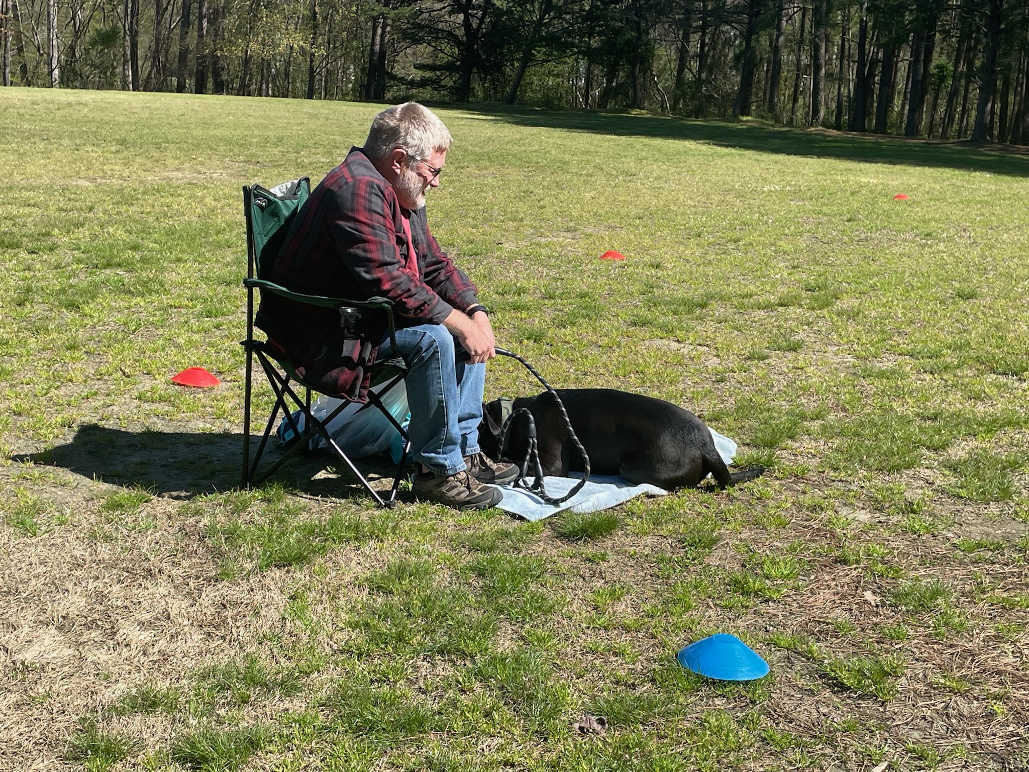 Sally Said So Professional Dog Training Training Tool Selection the halti head collar on a large breed dog for control