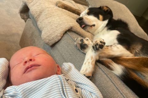 EXPECTING MOTHERS K9 PREPARATION