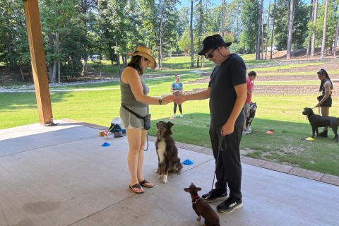 Dog Training Jacksonville